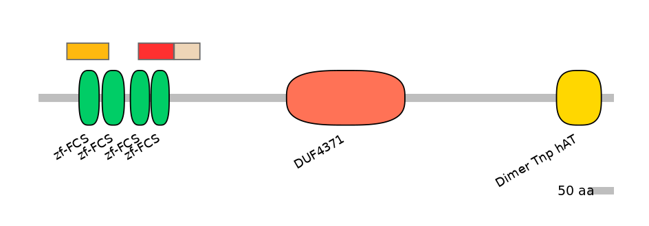 HsaEX0072879-INC