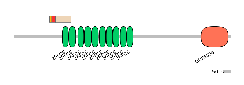 HsaEX0072899-INC