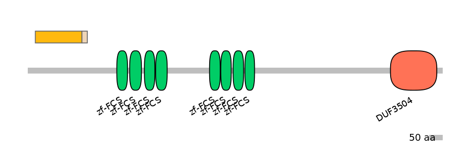 HsaEX0072913-EXC