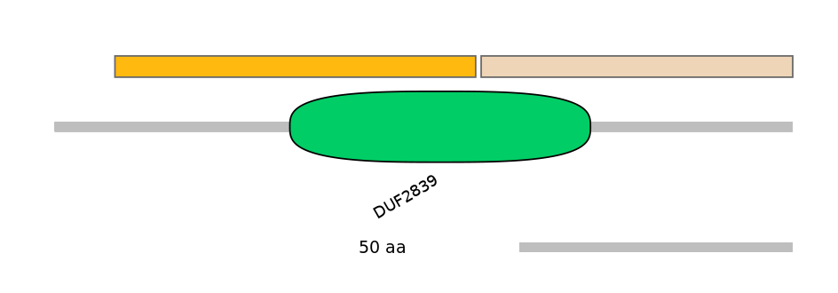 HsaEX0072989-EXC