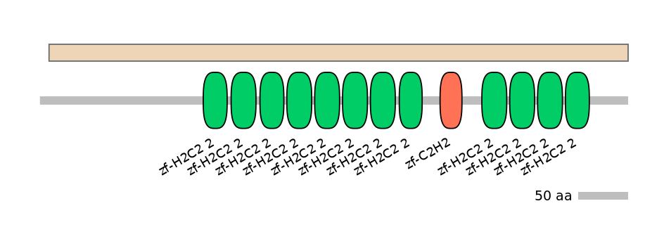 HsaEX0073030-EXC