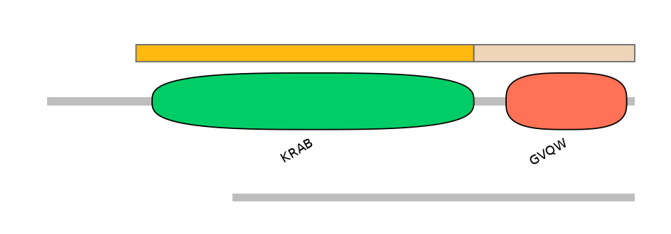 HsaEX0073037-EXC