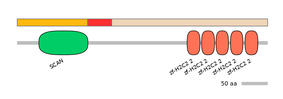 HsaEX0073095-INC
