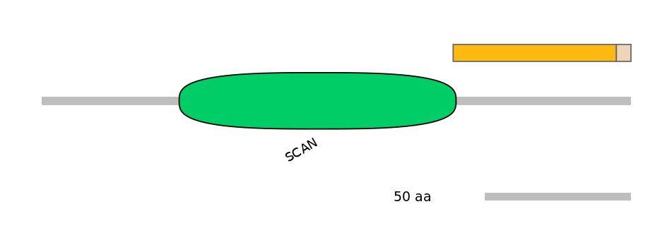 HsaEX0073098-EXC