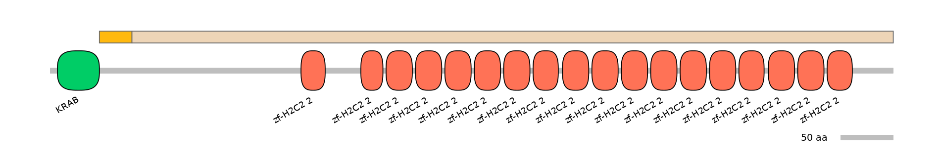 HsaEX0073206-EXC