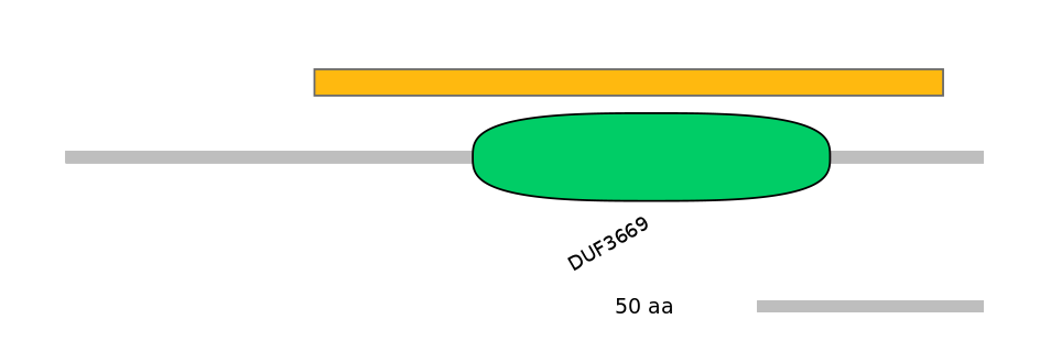 HsaEX0073347-EXC