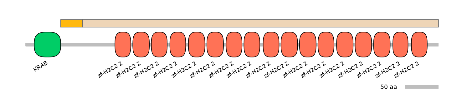 HsaEX0073383-EXC