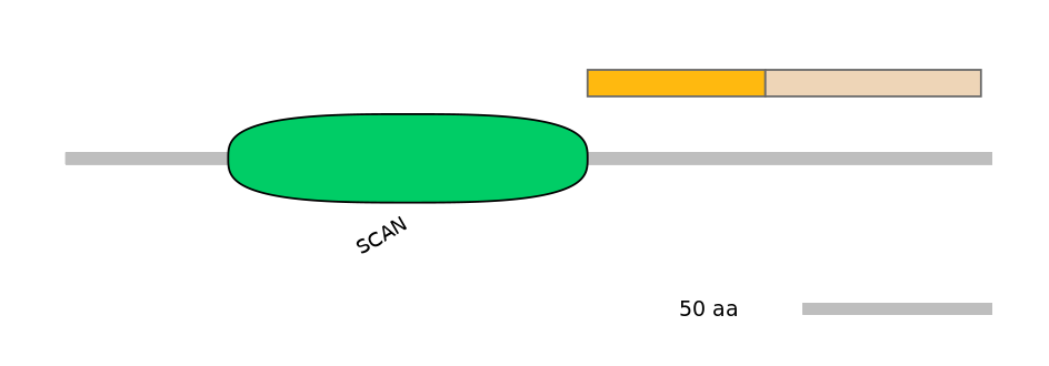 HsaEX0073585-EXC