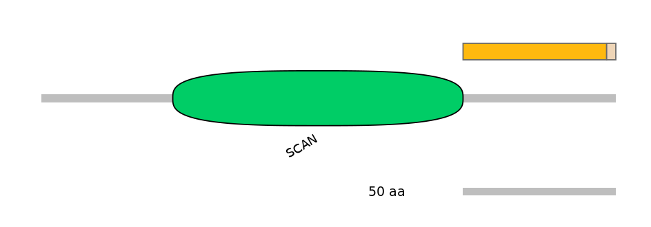 HsaEX0073586-EXC