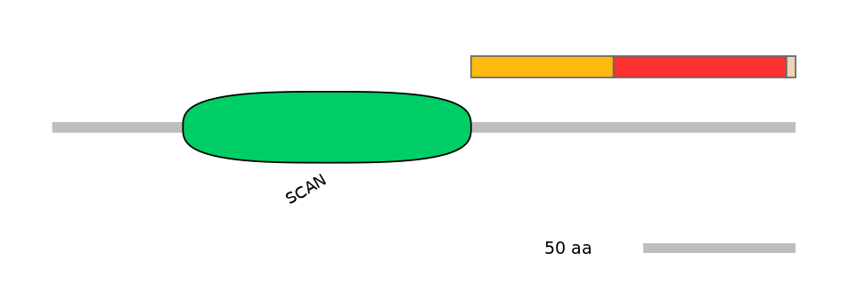 HsaEX0073586-INC