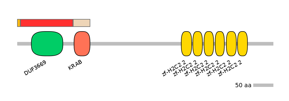 HsaEX0073589-INC