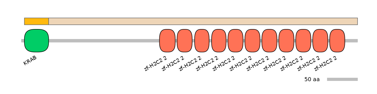 HsaEX0073616-EXC