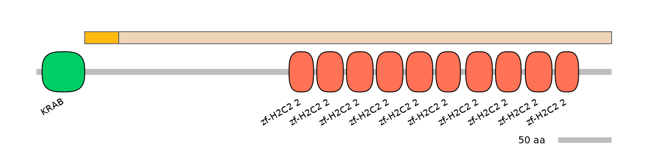 HsaEX0073739-EXC