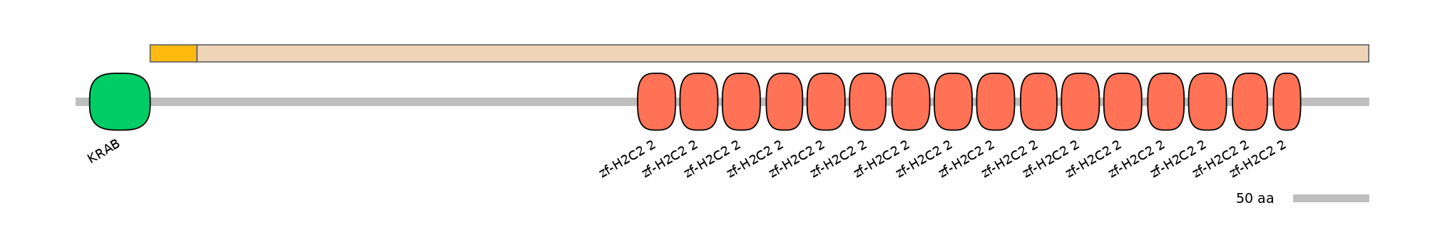 HsaEX0073777-EXC