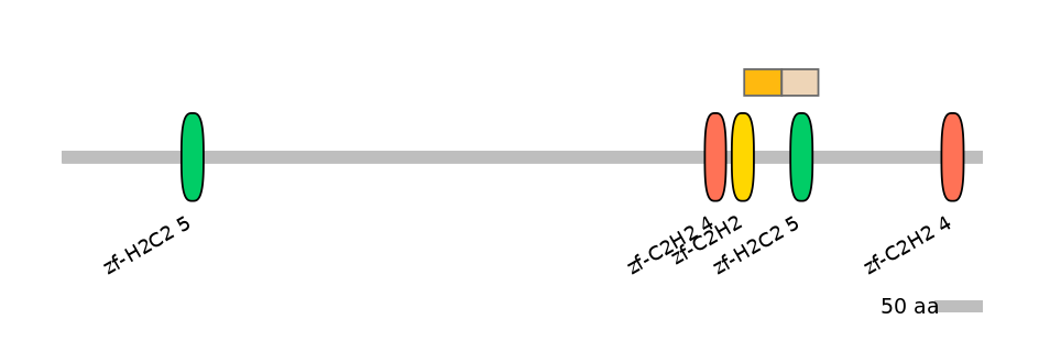 HsaEX0073808-EXC