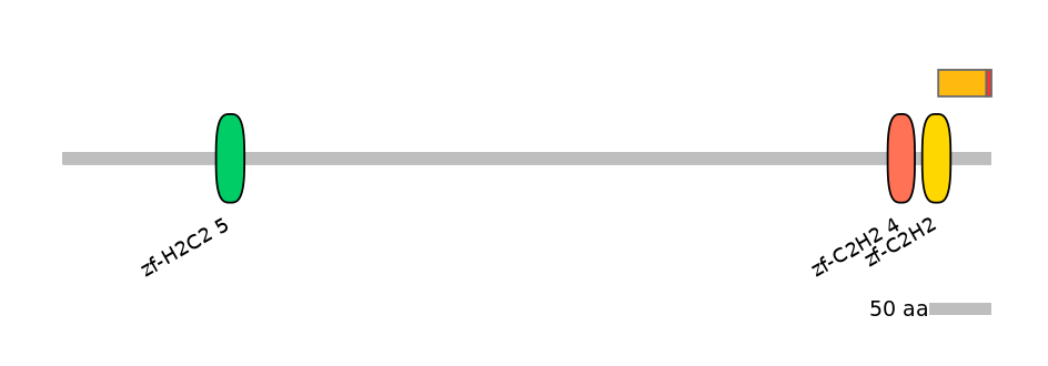 HsaEX0073808-INC