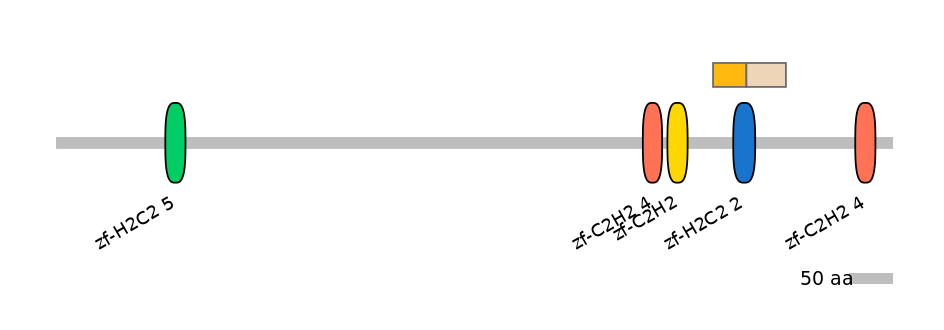 HsaEX0073810-EXC