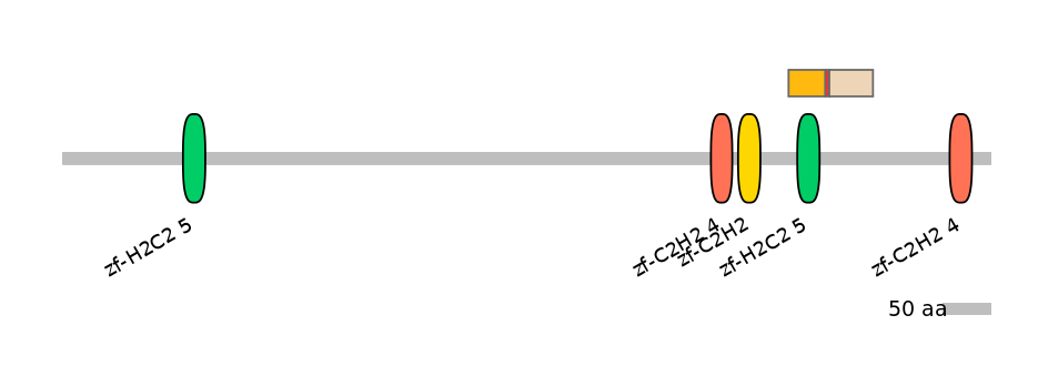 HsaEX0073810-INC