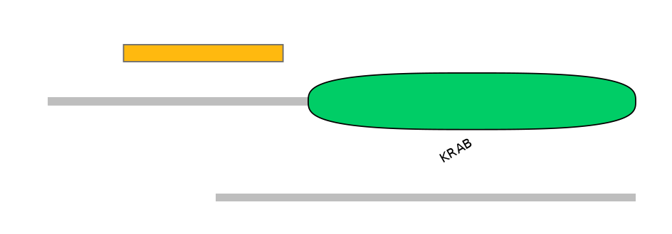 HsaEX0073968-INC