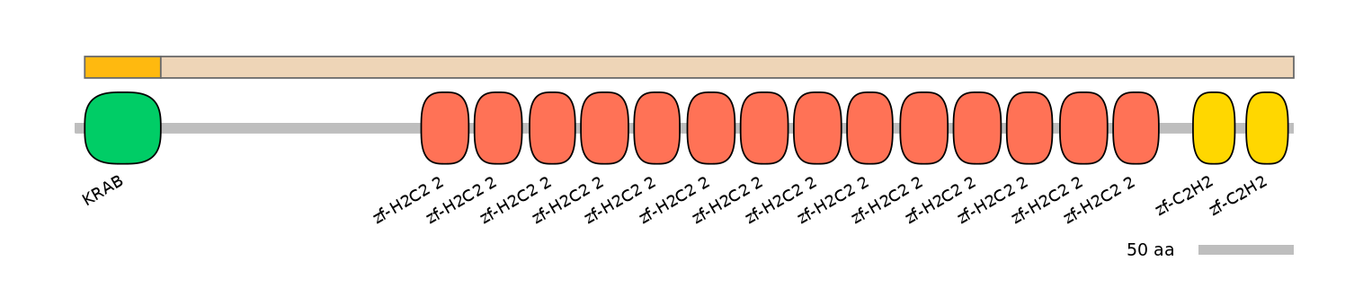 HsaEX0074023-EXC