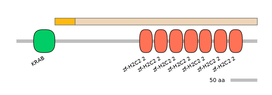 HsaEX0074142-EXC
