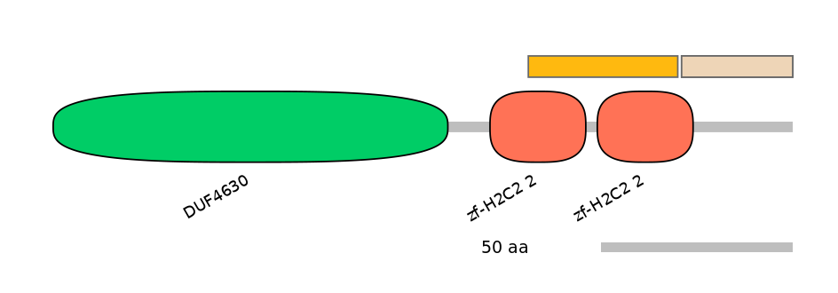 HsaEX0074290-INC