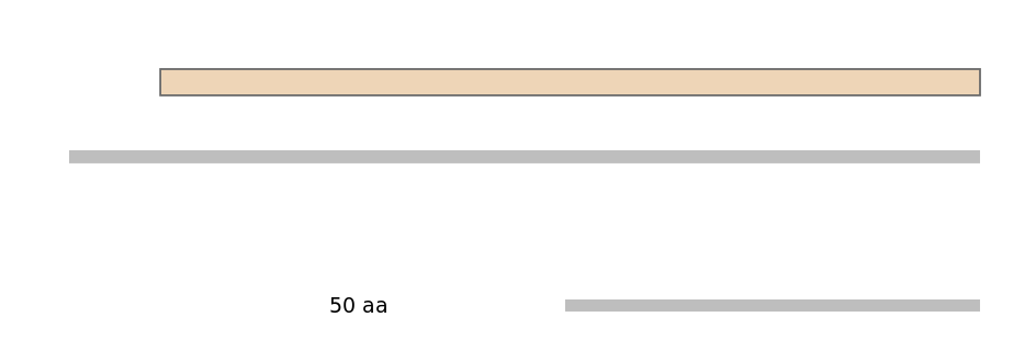 HsaEX0074354-EXC