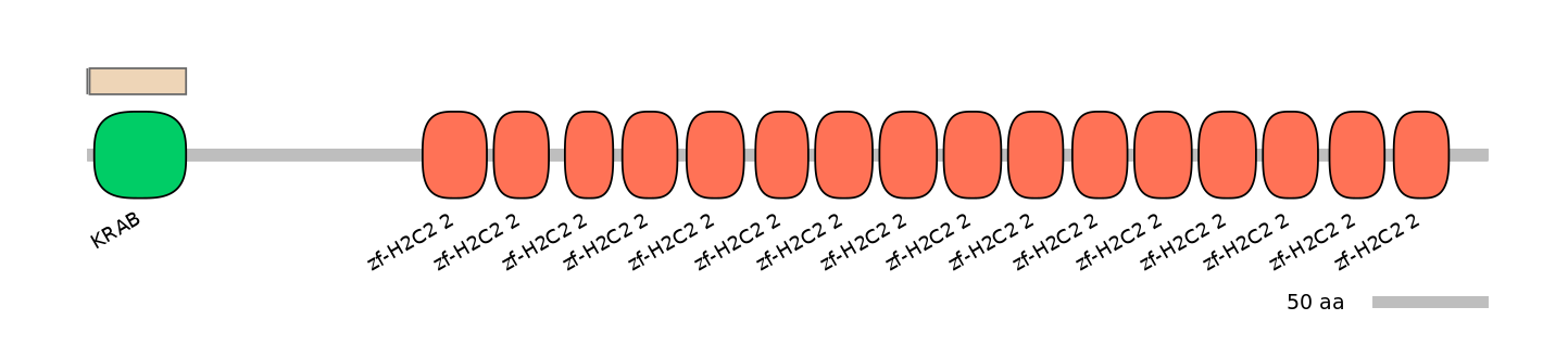 HsaEX0074412-EXC