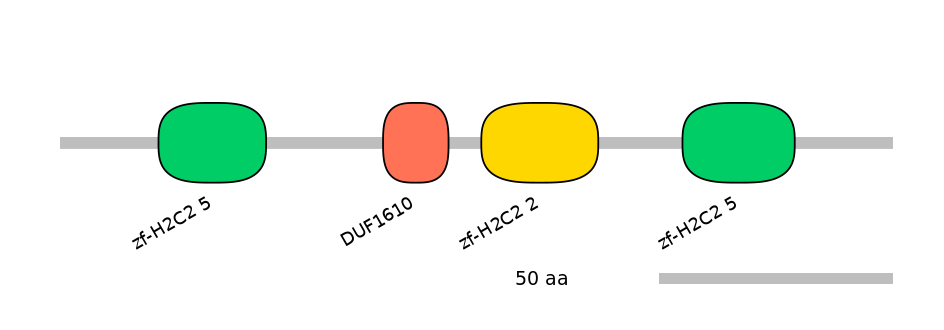 HsaEX0074416-EXC