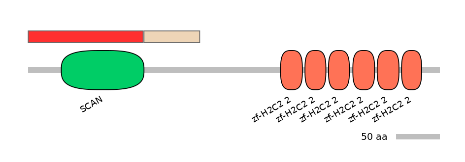 HsaEX0074566-INC