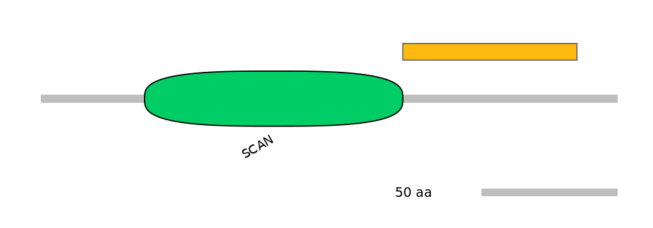 HsaEX0074568-EXC