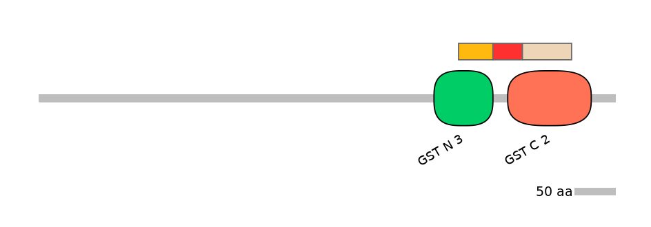 HsaEX6006073-INC