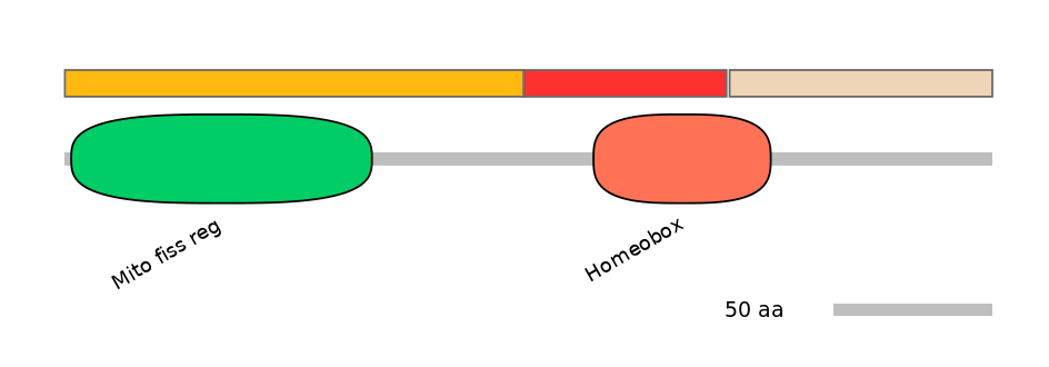 HsaEX6009123-INC