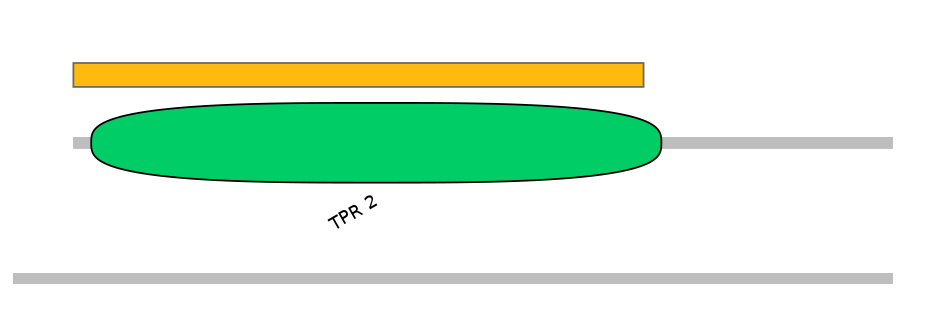 HsaEX6012853-EXC