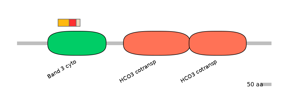 HsaEX6013994-INC