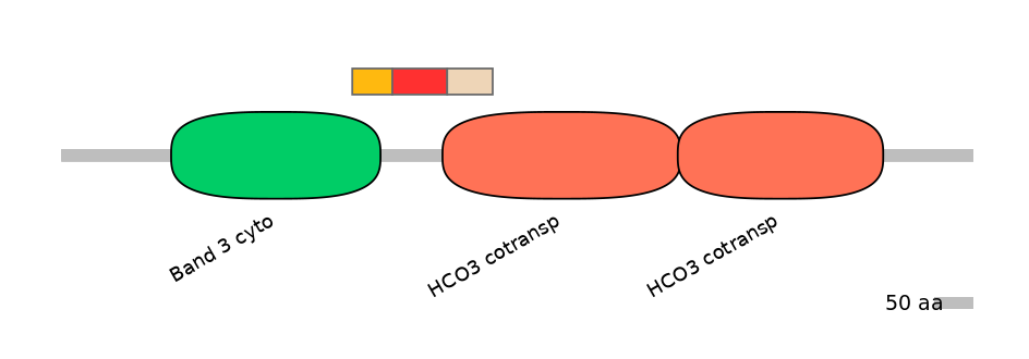 HsaEX6013999-INC