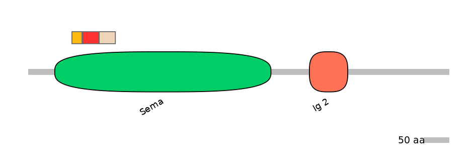 HsaEX6014585-INC