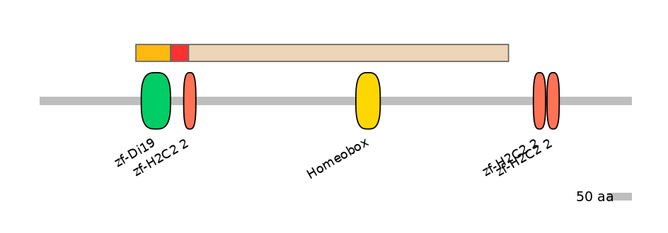 HsaEX6015819-INC