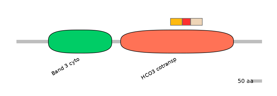 HsaEX6016231-INC