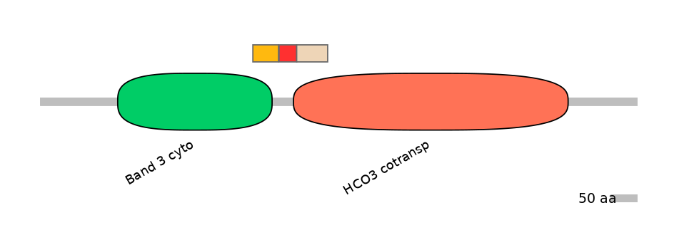 HsaEX6016234-INC