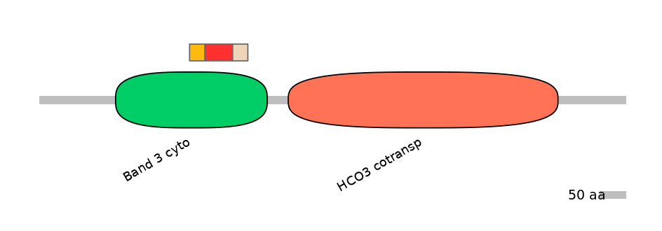 HsaEX6016237-INC