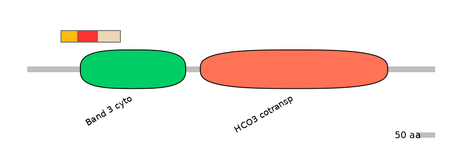HsaEX6016238-INC
