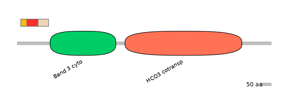 HsaEX6016240-INC