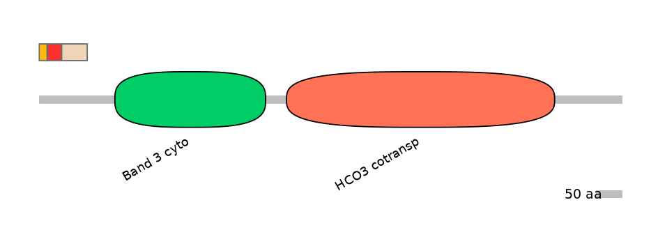 HsaEX6016241-INC