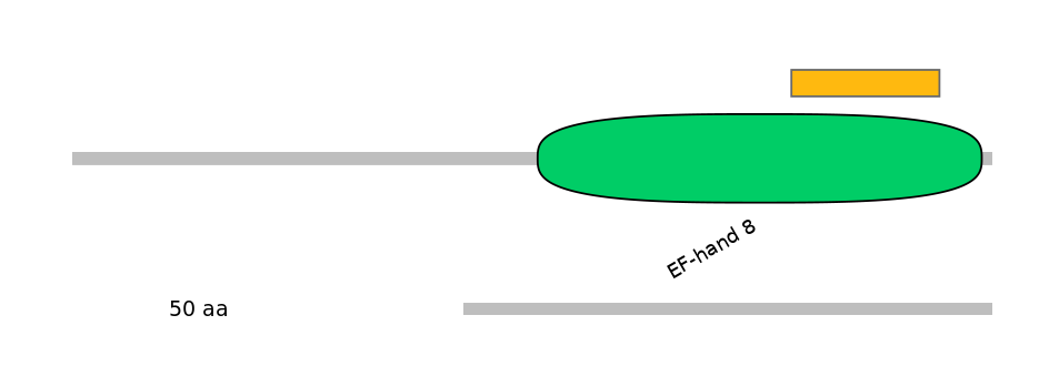 HsaEX6016296-EXC