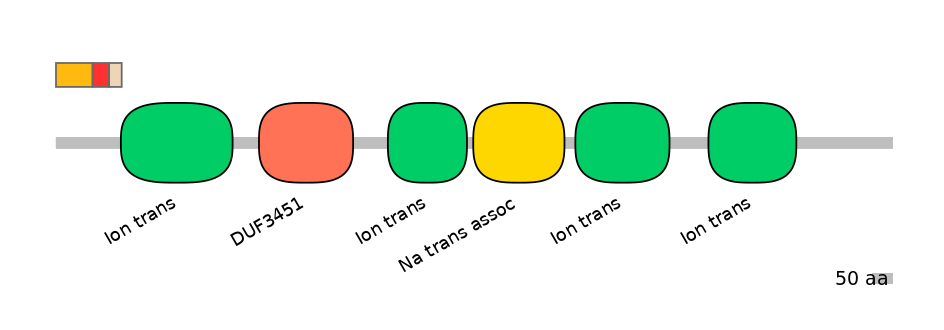 HsaEX6016333-INC