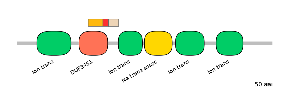 HsaEX6016339-INC