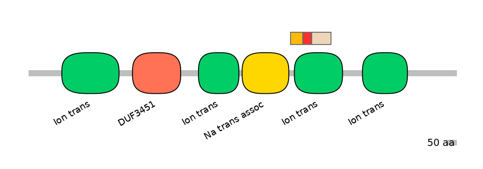 HsaEX6016347-INC