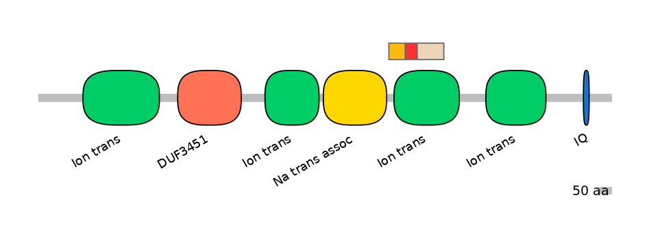 HsaEX6016351-INC