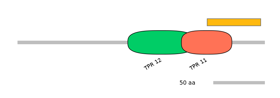 HsaEX6016380-EXC